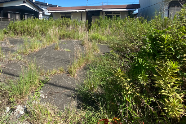 雑草が生い茂った空き家