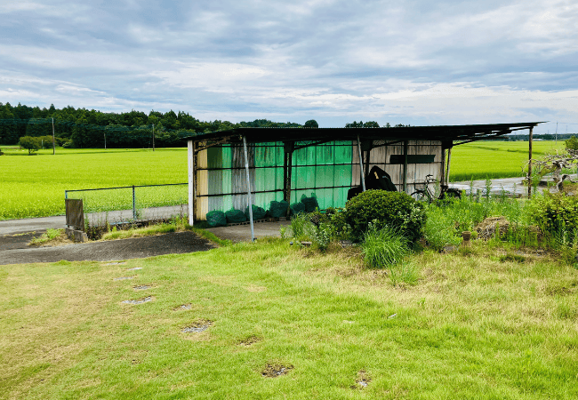 広い庭と田んぼ