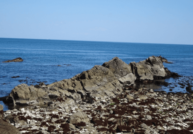 茨城県平磯海岸